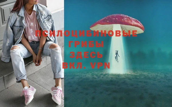 дурь Пролетарск