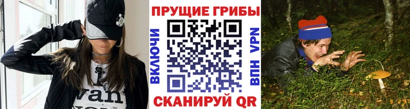 ОМГ ОМГ как зайти  Орск  Галлюциногенные грибы Cubensis  даркнет сайт 